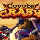 Coyote Crash